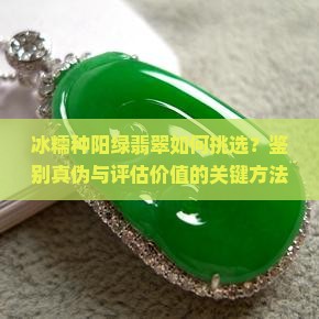 冰糯种阳绿翡翠如何挑选？鉴别真伪与评估价值的关键方法是什么？