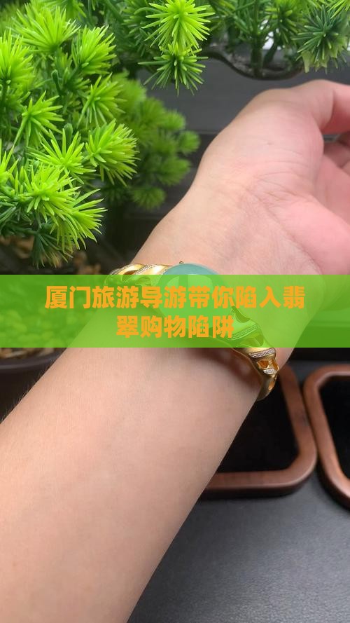 厦门旅游导游带你陷入翡翠购物陷阱
