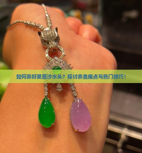 如何养好莫西沙水头？探讨养鱼痛点与热门技巧！