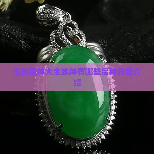 玉的品种大全冰种有哪些品种详细介绍