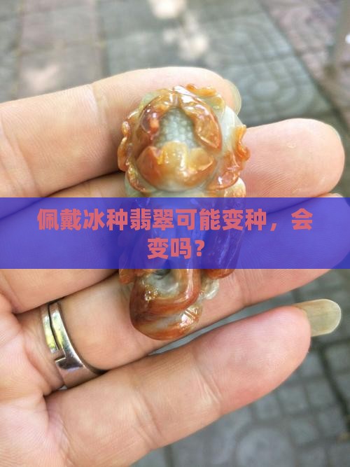 佩戴冰种翡翠可能变种，会变吗？