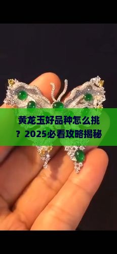 黄龙玉怎样算好的品种