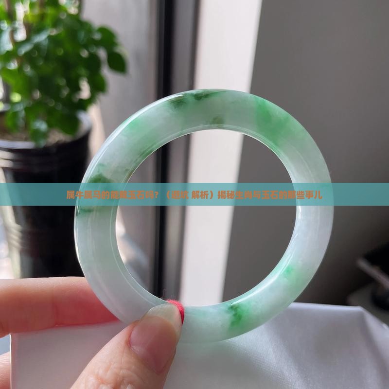 属牛属马的能戴玉石吗