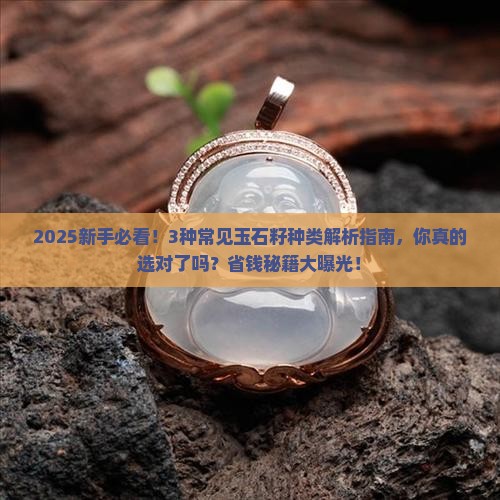 玉石籽种类