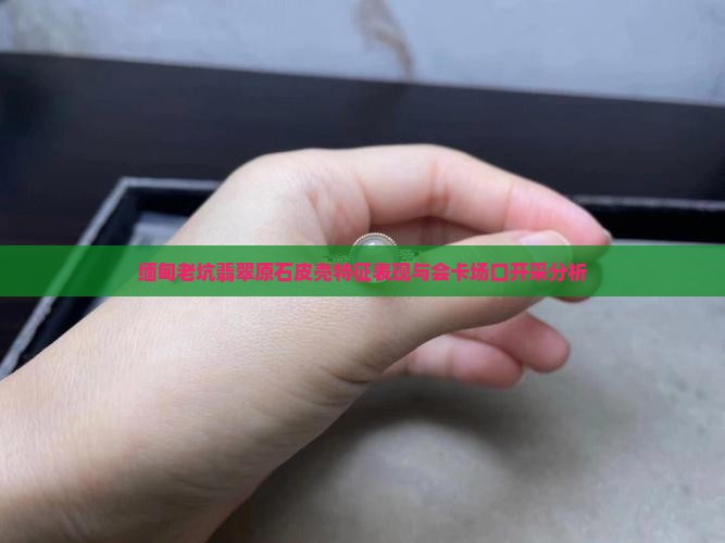 老坑翡翠原石皮壳表现