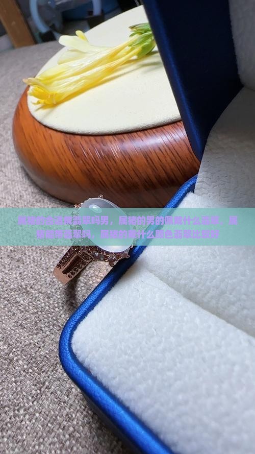 属猪的合适戴翡翠吗男