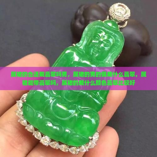 属猪的合适戴翡翠吗男