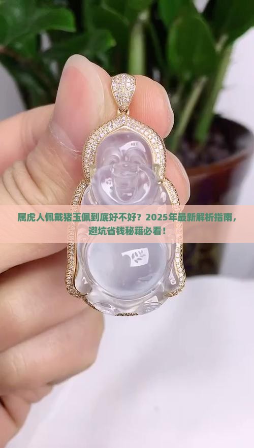 属虎的人佩戴猪玉佩