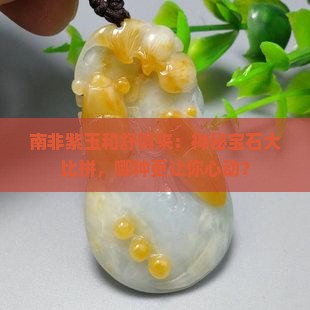 南非紫玉和舒俱来