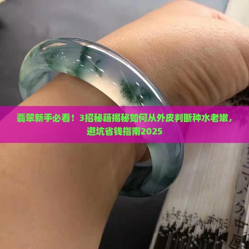 如何从外皮来判断翡翠种的老和嫩