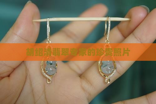 胡绍清翡翠专家的照片
