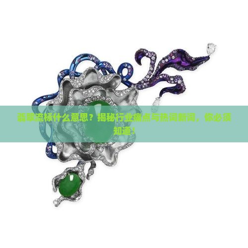 翡翠流标什么意思