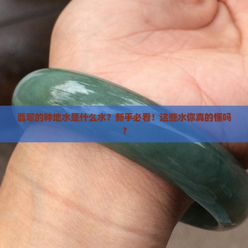 翡翠的种地水是什么水