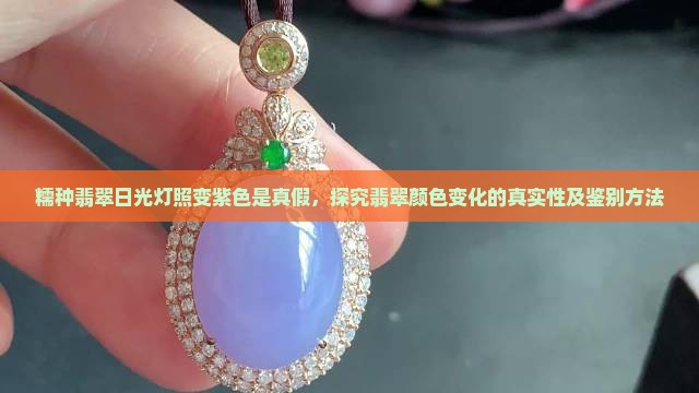 糯种翡翠日光灯照变紫色是真假