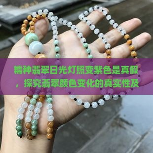 糯种翡翠日光灯照变紫色是真假