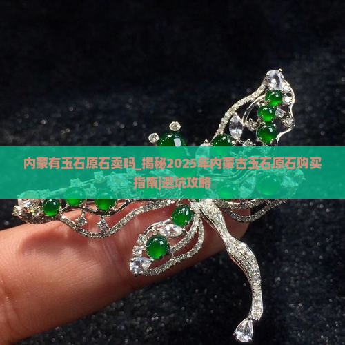 内蒙有玉石原石卖吗