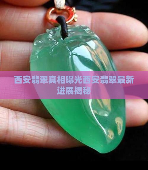 西安翡翠事件
