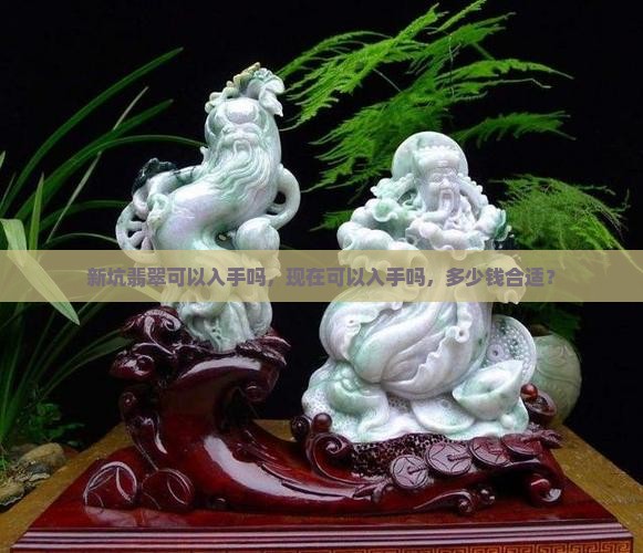 新坑翡翠可以入手吗