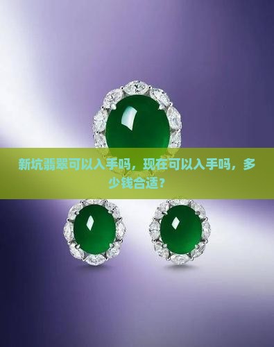 新坑翡翠可以入手吗