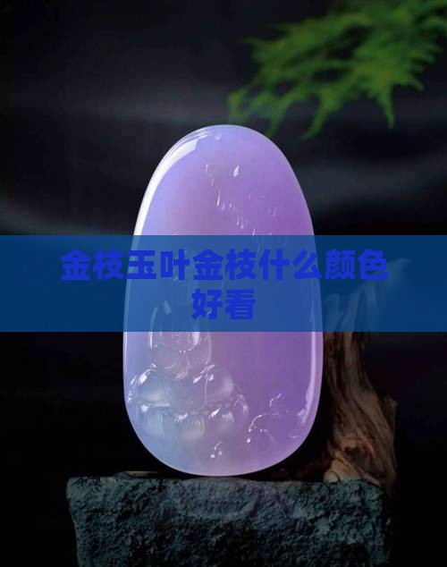 金枝玉叶什么颜色好看