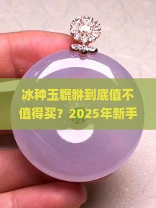冰种玉貔貅
