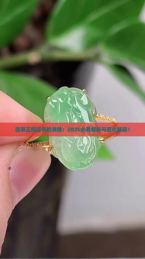 翡翠正规的证书是什么样