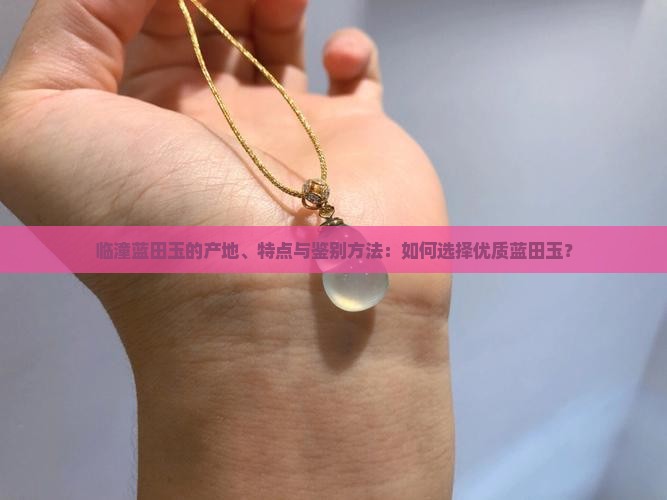 临潼蓝田玉的产地、特点与鉴别方法：如何选择优质蓝田玉？