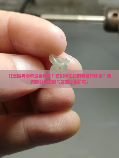 红玉髓与翡翠是否伴生？它们伴生时的特征有哪些？如何区分红玉髓与翡翠伴生矿石？
