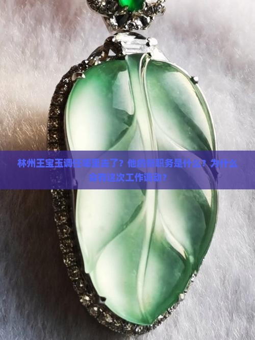 林州王宝玉调任哪里去了？他的新职务是什么？为什么会有这次工作调动？