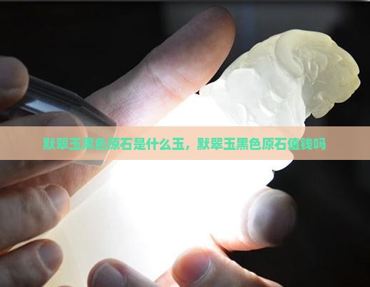 默翠玉黑色原石是什么玉，默翠玉黑色原石值钱吗