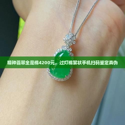 糯种翡翠全是棉4200元，过灯棉絮状手机扫码鉴定真伪