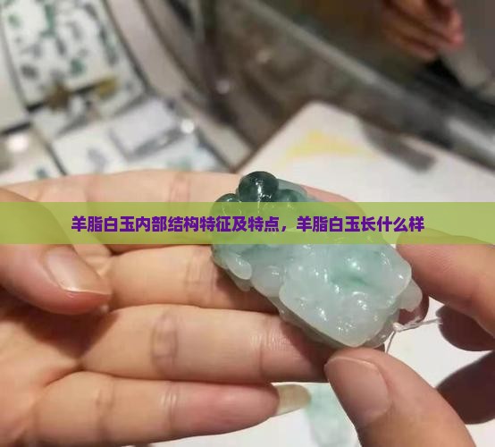 羊脂白玉内部结构特征及特点，羊脂白玉长什么样