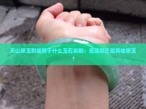 天山翠玉到底属于什么玉石类别：是翡翠还是其他翠玉？