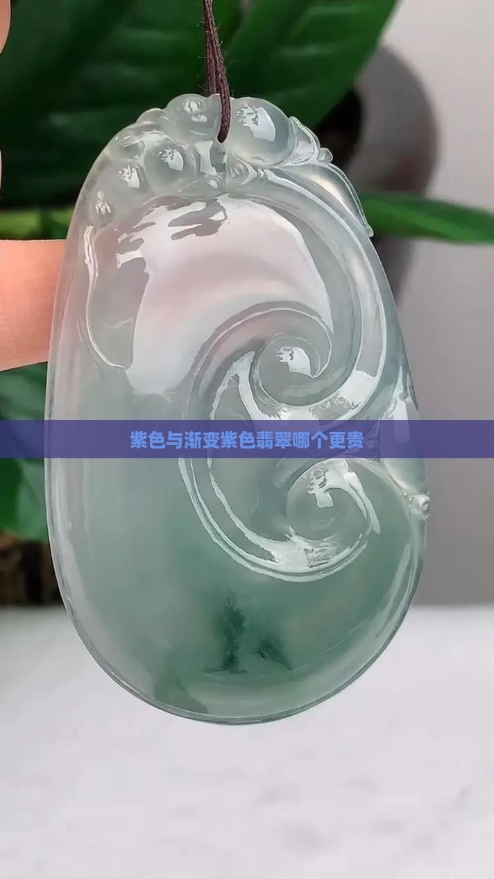 紫色与渐变紫色翡翠哪个更贵 紫色与渐变紫色翡翠哪个更贵