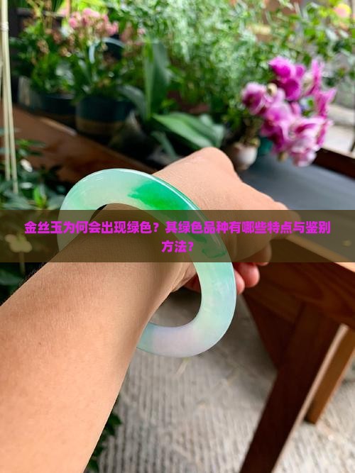 金丝玉为何会出现绿色？其绿色品种有哪些特点与鉴别方法？
