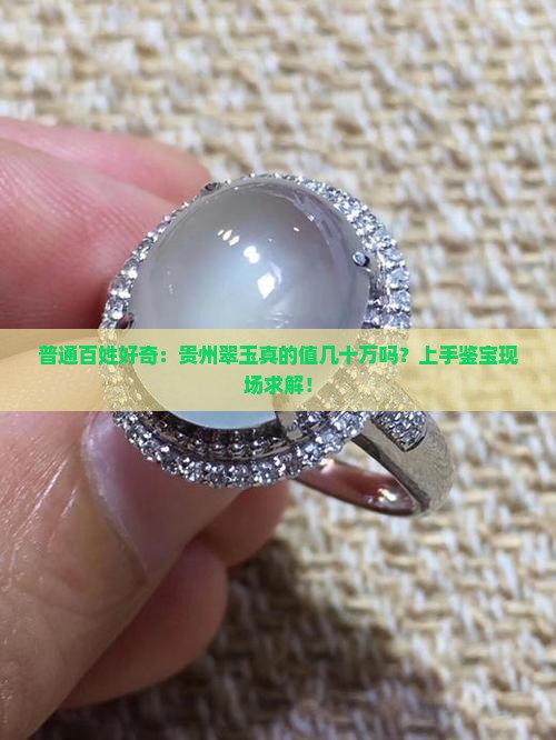 普通百姓好奇：贵州翠玉真的值几十万吗？上手鉴宝现场求解！