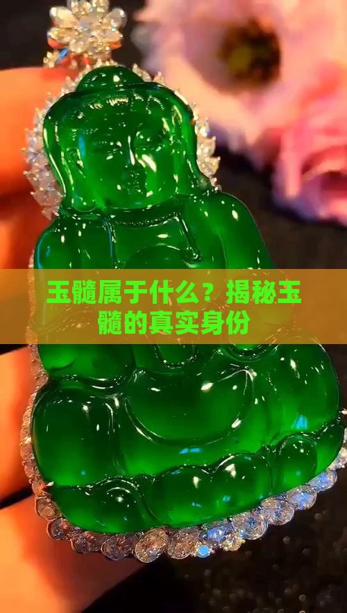 玉髓属于什么？揭秘玉髓的真实身份