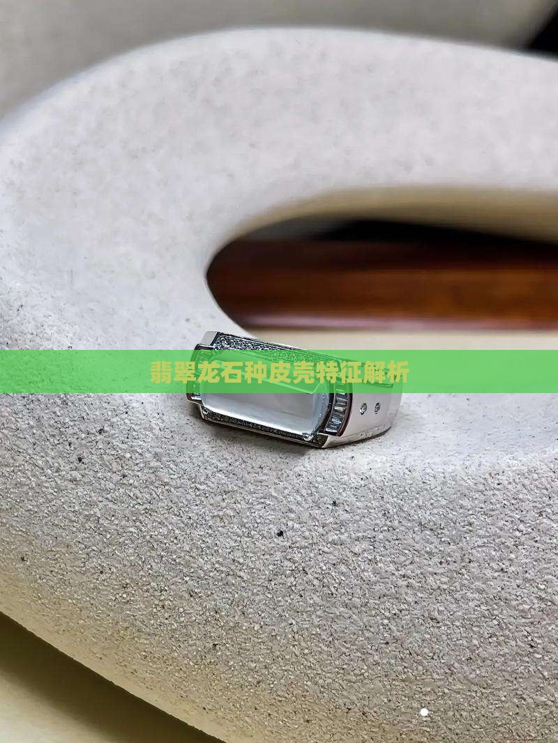 翡翠龙石种皮壳特征解析
