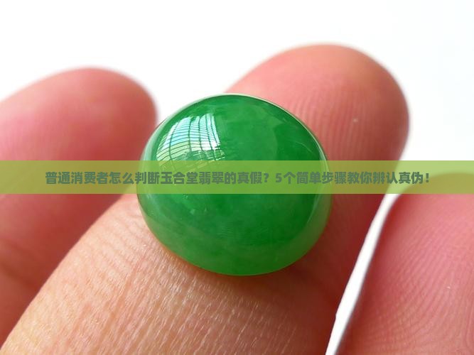普通消费者怎么判断玉合堂翡翠的真假？5个简单步骤教你辨认真伪！