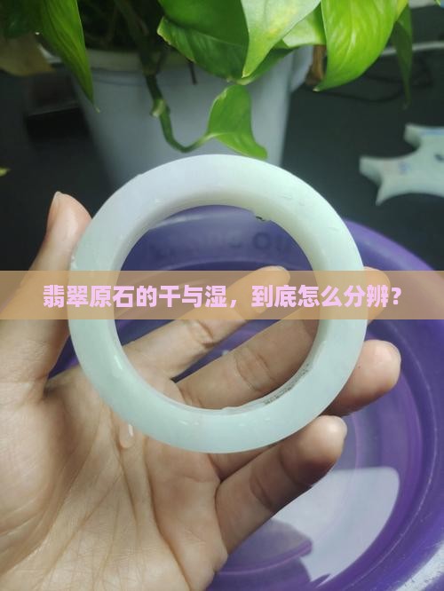 翡翠原石的干与湿，到底怎么分辨？