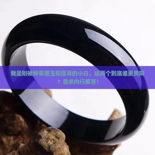 我是刚被种草墨玉和塔青的小白，这两个到底谁更贵啊？急求内行解答！