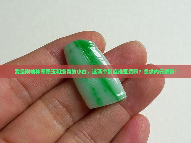 我是刚被种草墨玉和塔青的小白，这两个到底谁更贵啊？急求内行解答！