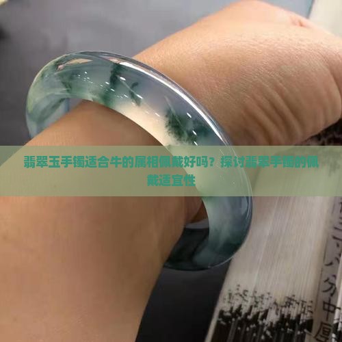 翡翠玉手镯适合牛的属相佩戴好吗？探讨翡翠手镯的佩戴适宜性