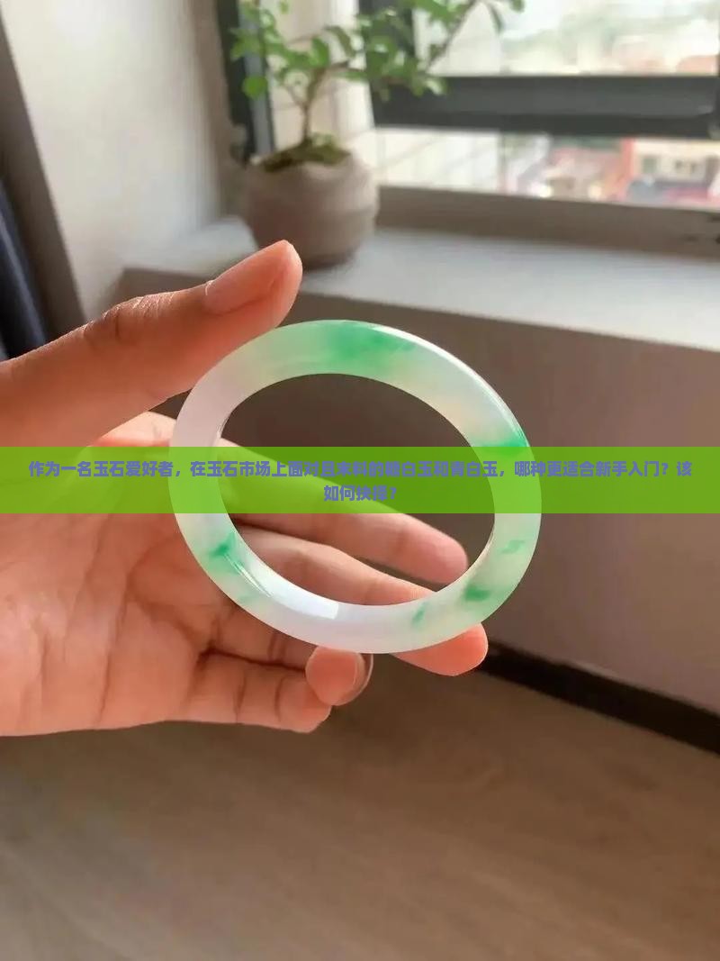 作为一名玉石爱好者，在玉石市场上面对且末料的糖白玉和青白玉，哪种更适合新手入门？该如何抉择？