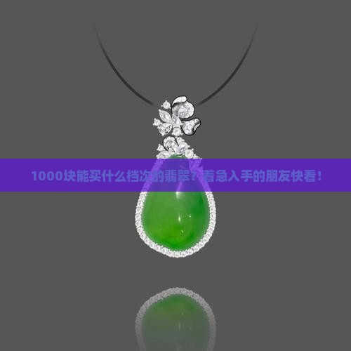1000块能买什么档次的翡翠？着急入手的朋友快看！