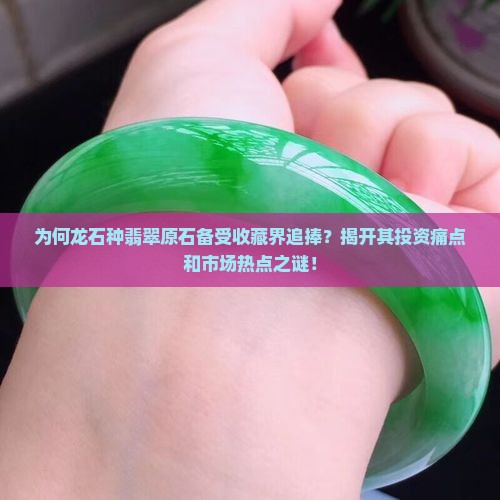 为何龙石种翡翠原石备受收藏界追捧？揭开其投资痛点和市场热点之谜！