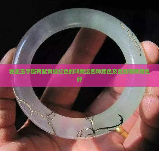 独龙玉手镯有紫黄绿红色的吗我这四种颜色及区别哪种颜色好