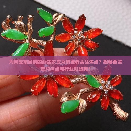 为何云南昆明的翡翠家成为消费者关注焦点？揭秘翡翠选购痛点与行业新趋势！