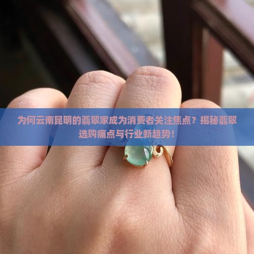 为何云南昆明的翡翠家成为消费者关注焦点？揭秘翡翠选购痛点与行业新趋势！