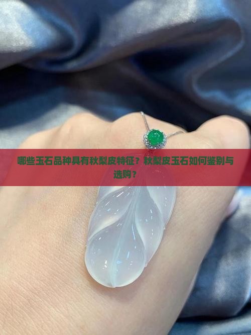 哪些玉石品种具有秋梨皮特征？秋梨皮玉石如何鉴别与选购？